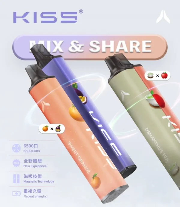 KIS5 鎧斯 6500口拋棄式｜雙芯磁吸防漏，Type-C快充，台灣正品現貨快速出貨