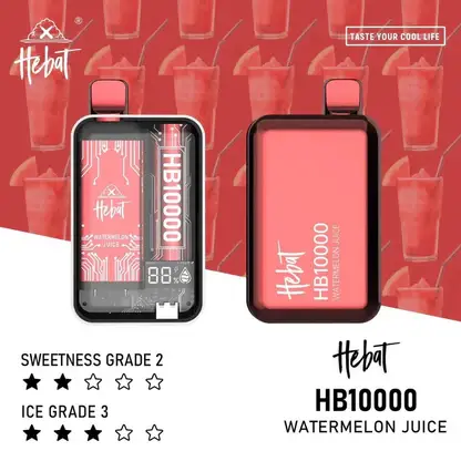 Hebat喜貝 10000口拋棄式｜LED螢幕防漏，Type-C快充，台灣正品現貨快速出貨