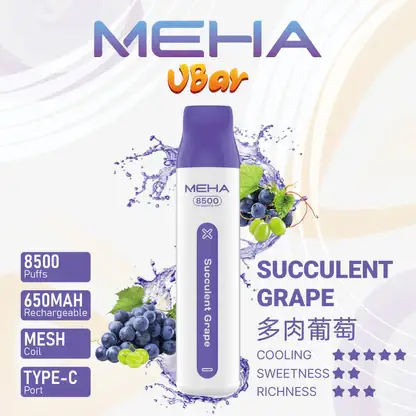 MEHA VBar 魅嗨 8500口拋棄式電子煙｜650mAh可充電，水果涼感，台灣正品現貨快速出貨