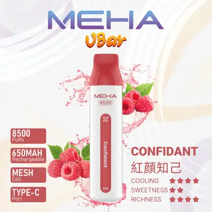 MEHA VBar 魅嗨 8500口拋棄式電子煙｜650mAh可充電，水果涼感，台灣正品現貨快速出貨