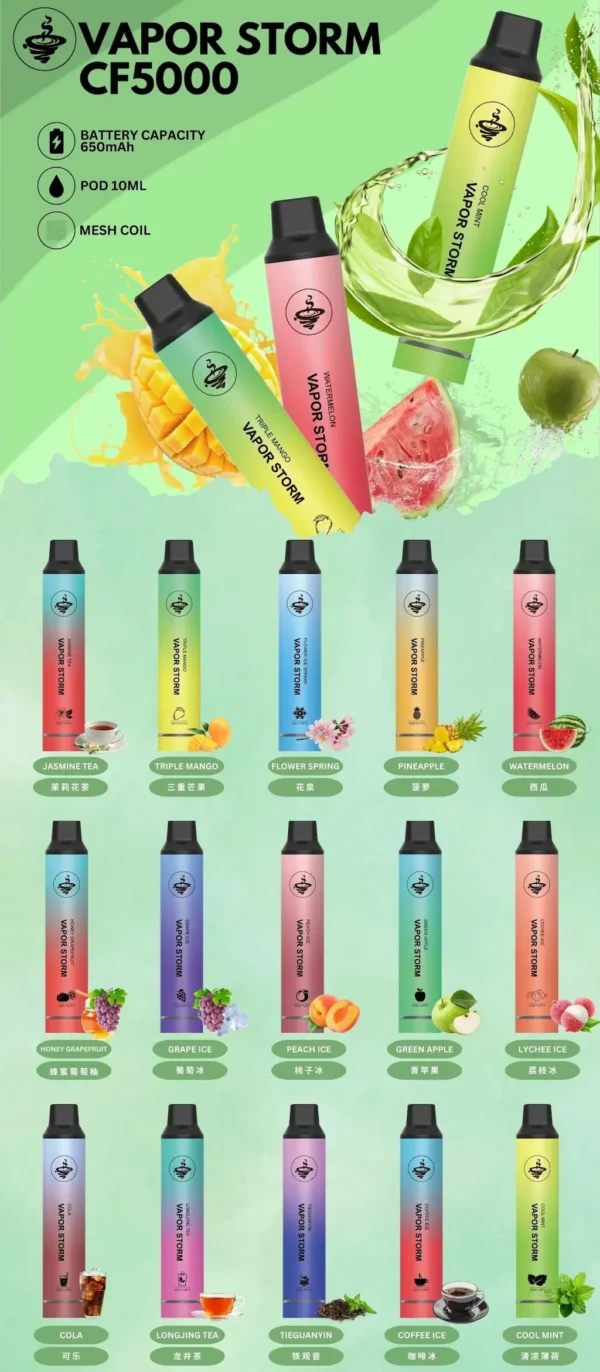 VAPOR STORM風暴 5000口拋棄式電子煙｜Mesh網芯大容量，650mAh可充電，台灣正品現貨快速出貨