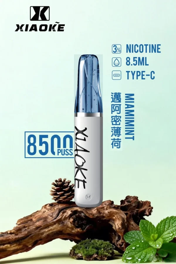 XIAOKE 梟客 8500口拋棄式電子煙｜8.5ml儲油量 3%丁鹽 支援Type-C充電，台灣現貨正品快速出貨