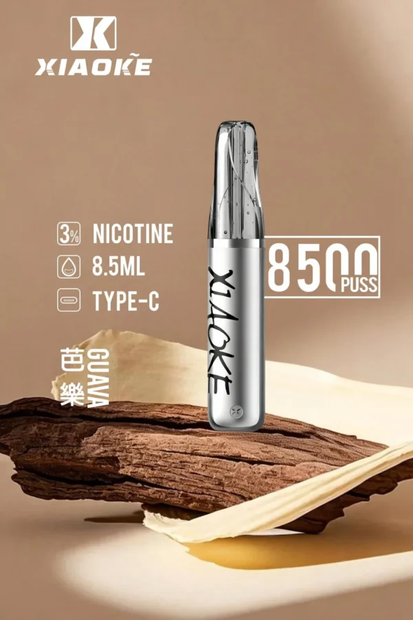 XIAOKE 梟客 8500口拋棄式電子煙｜8.5ml儲油量 3%丁鹽 支援Type-C充電，台灣現貨正品快速出貨