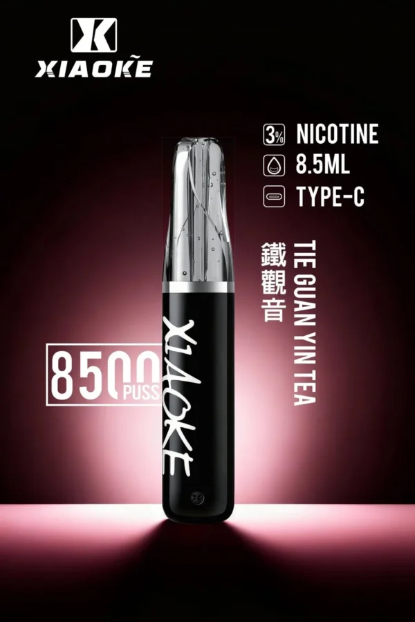 XIAOKE 梟客 8500口拋棄式電子煙｜8.5ml儲油量 3%丁鹽 支援Type-C充電，台灣現貨正品快速出貨