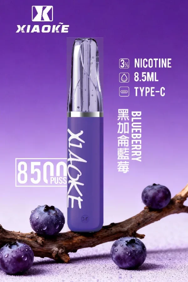 XIAOKE 梟客 8500口拋棄式電子煙｜8.5ml儲油量 3%丁鹽 支援Type-C充電，台灣現貨正品快速出貨