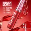 XIAOKE 梟客 8500口拋棄式電子煙｜8.5ml儲油量 3%丁鹽 支援Type-C充電，台灣現貨正品快速出貨