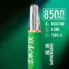 XIAOKE 梟客 8500口拋棄式電子煙｜8.5ml儲油量 3%丁鹽 支援Type-C充電，台灣現貨正品快速出貨