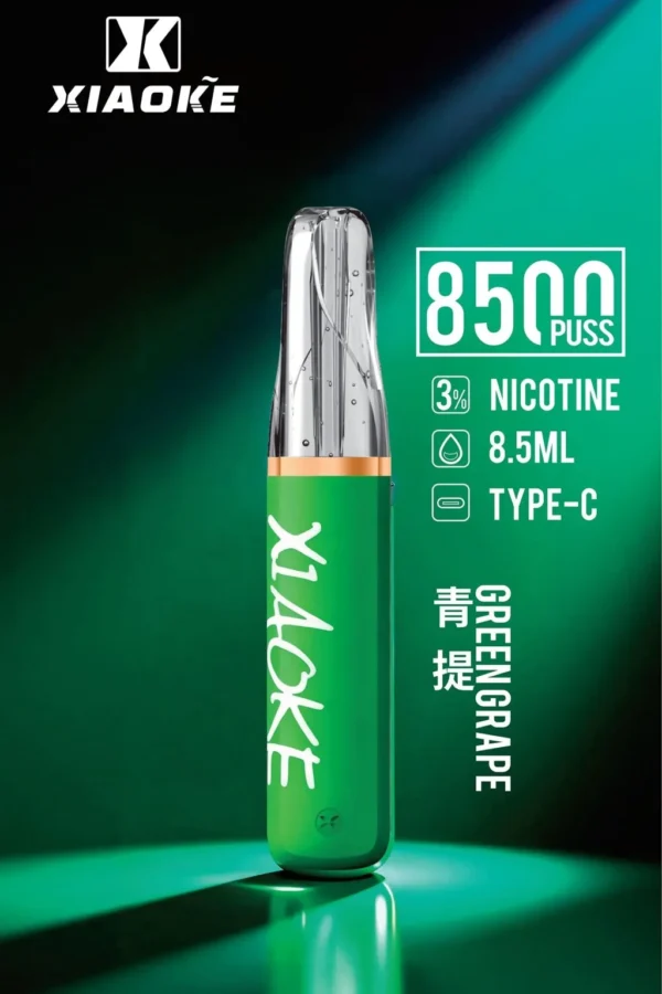 XIAOKE 梟客 8500口拋棄式電子煙｜8.5ml儲油量 3%丁鹽 支援Type-C充電，台灣現貨正品快速出貨